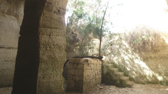 בור חווארים ליד שדה בוקר (צילום: מיטל שרעבי)