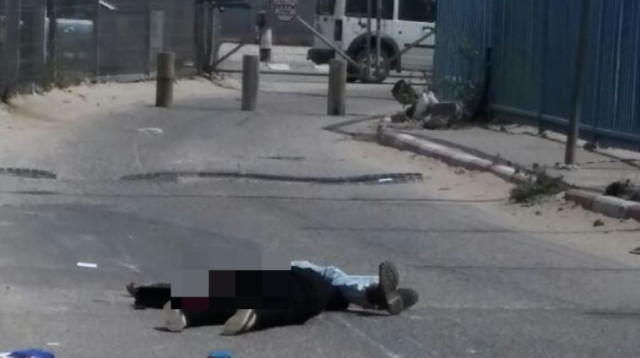 ניסיון פיגוע דקירה בקלנדיה (צילום: רשתות חברתיות)