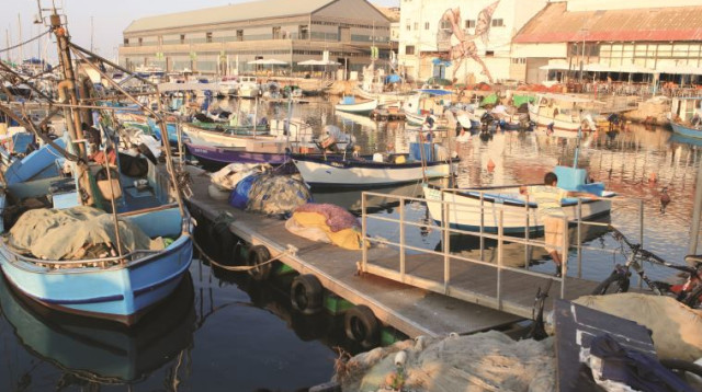 סירות דיג בנמל יפו (צילום: לירון אלמוג, פלאש 90)