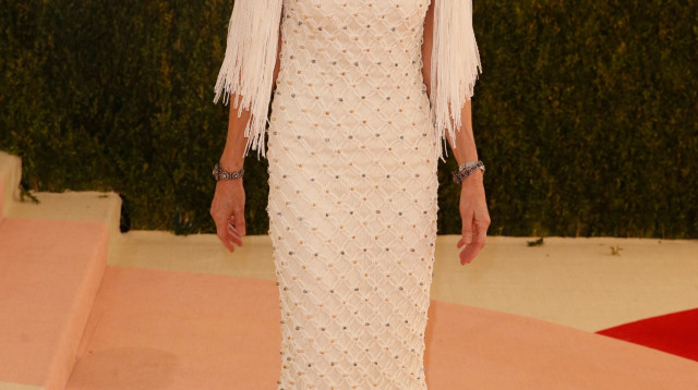 אנה וינטור (צילום: רויטרס)