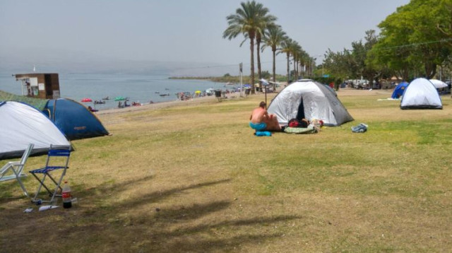 שרב בחופי הכינרת (צילום: סיוון חודי רשות הכנרת)