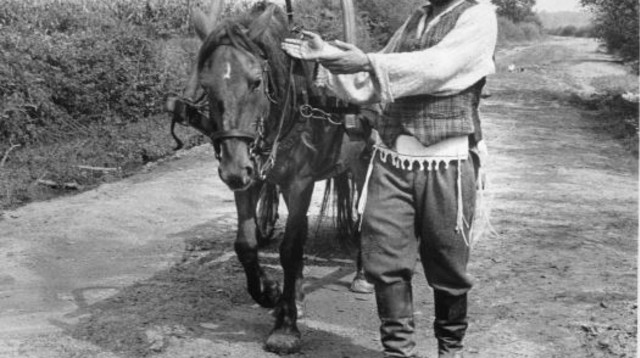 חיים טופול בסרט כנר על הגג  (צילום: יונייטד ארטיסטס אוף ישראל)