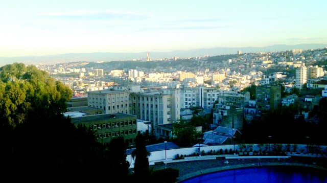 אלג'יר  (צילום: גדעון קוץ)