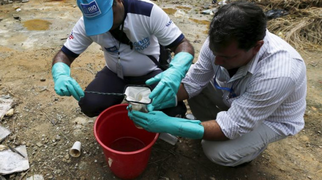 נלחמים בזיקה בריו, ברזיל (צילום: רויטרס)