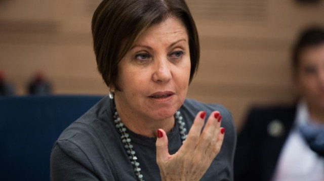 ח"כ זהבה גלאון (צילום: יונתן סינדל, פלאש 90)