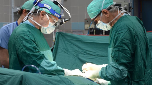 ניתוח השתלת איברים (צילום: בילינסון)