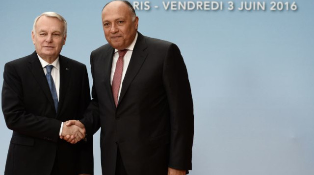 שר החוץ הצרפתי ז'אן- מרק איירו ושר החוץ המצרי בוועידת פריז (צילום: AFP)