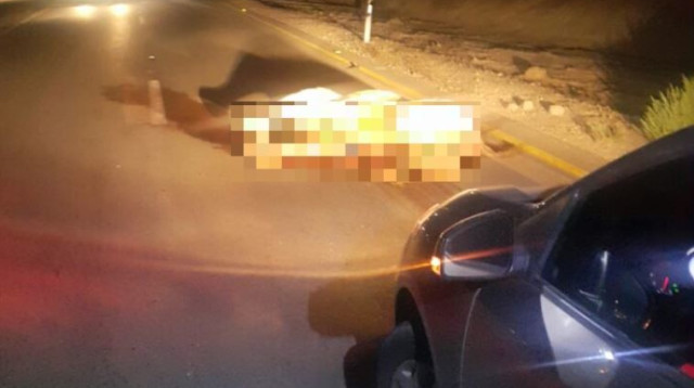 רכב פגע בגמל על כביש 1 (צילום: דוברות המשטרה)