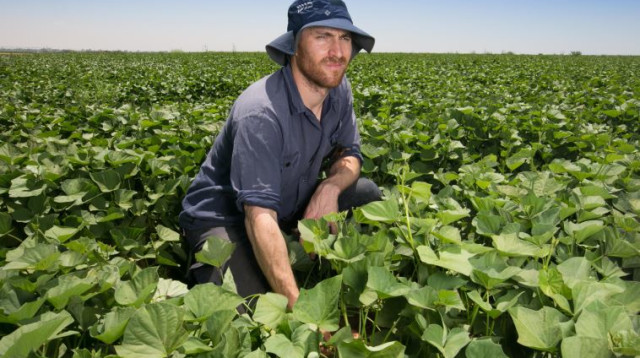 נהר נטע (צילום: דיאגו מיטלברג)