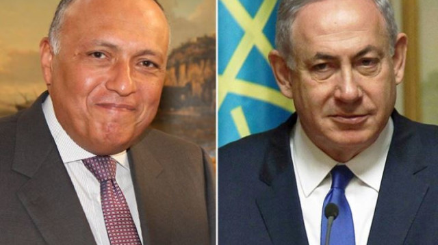 ראש הממשלה בנימין נתניהו ושר החוץ של מצרים סאמח שוקרי (צילום: רויטרס,משרד החוץ המצרי)