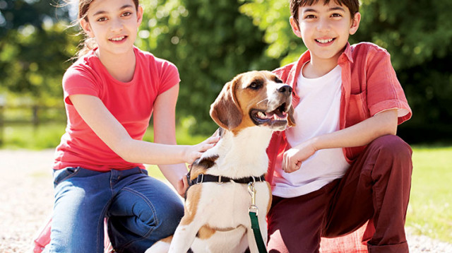 ילדים עם כלב, חיות מחמד (צילום: אינגאימג)