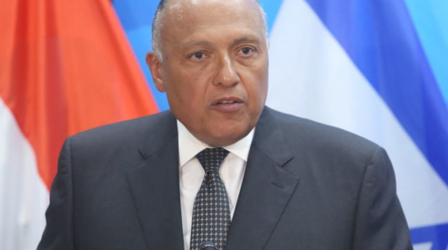 שר החוץ המצרי סאמח שוקרי (צילום: מרק ישראל סלם)