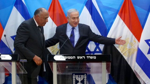 נתניהו ושר החוץ המצרי סאמח שוקרי (צילום: מרק ישראל סלם)