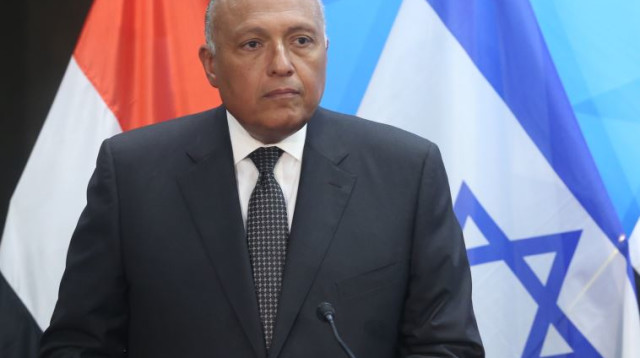 נתניהו ושר החוץ המצרי סאמח שוקרי (צילום: מרק ישראל סלם)