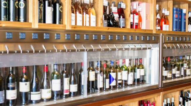 דרך היין (צילום: אורי ורונית)