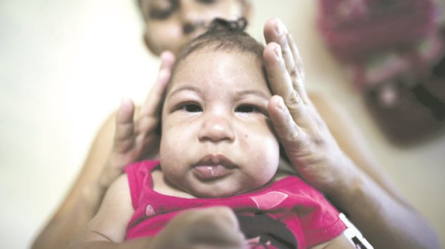 נגיף הזיקה זיקה (צילום: רויטרס)