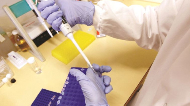 אנטיביוטיקה, אילוסטרציה (צילום: רויטרס)