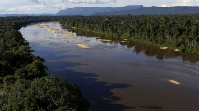 אמזונס (צילום: רויטרס)