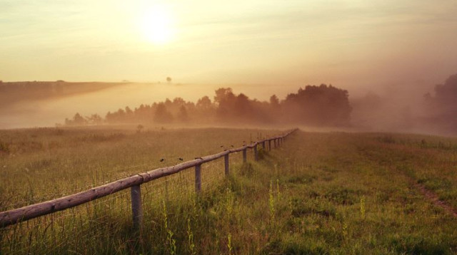 אמא אדמה, אילוסטרציה (צילום: אינגאימג)