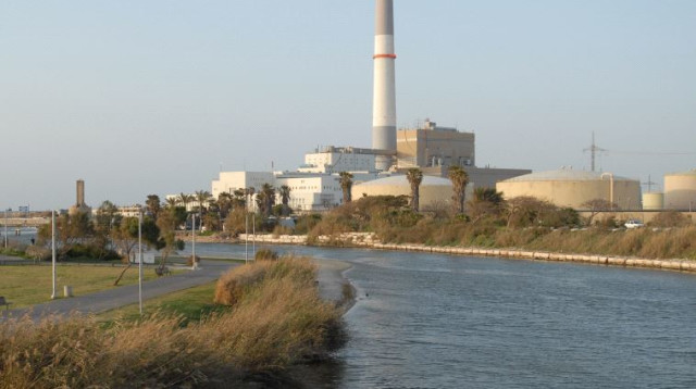 הירקון, רידינג (צילום: גילי יערי, פלאש 90)