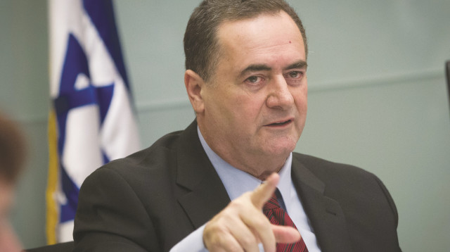 ישראל כץ (צילום: מרים אלסטר, פלאש 90)