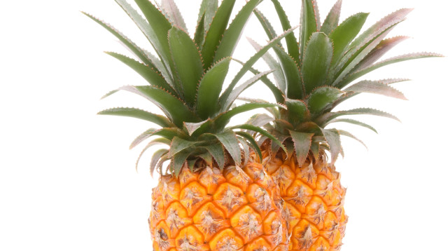 אננס (צילום: אינגאימג)
