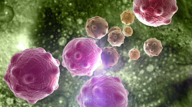 תאים סרטניים (צילום: אינג אימג')