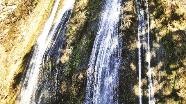 נחל עיון (צילום: הדר יהב)