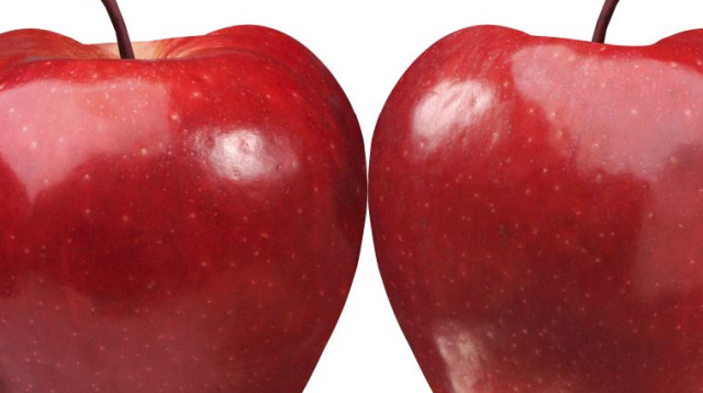 תפוח שלגייה (צילום: אינגאימג)