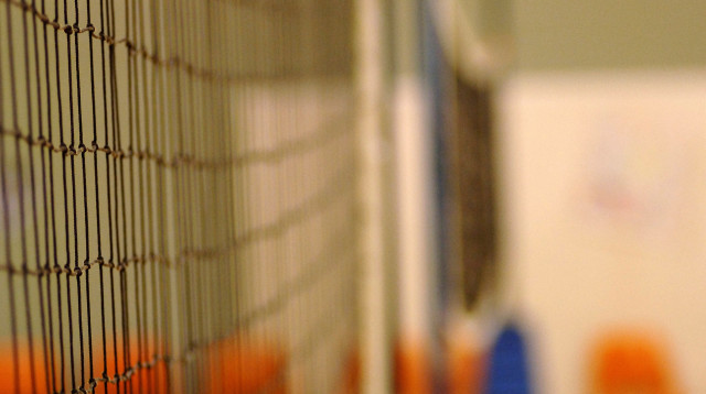 רשת כדורעף (צילום: אינגאימג)