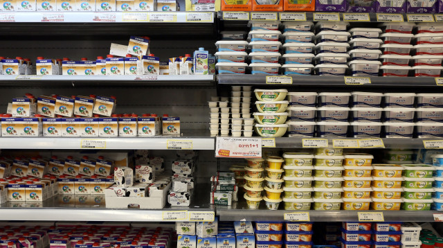 מוצרי חלב (צילום: פלאש 90)