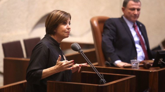 זהבה גלאון במליאת הכנסת  (צילום: מרק ישראל סלם)