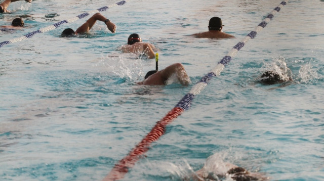 בריכת שחייה, ארכיון (צילום: רוני שוצר, פלאש 90)