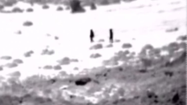 שני פלסטינים נעצרו כשברשותם סכינים, סמוך למגדל עוז (צילום: דובר צה"ל)