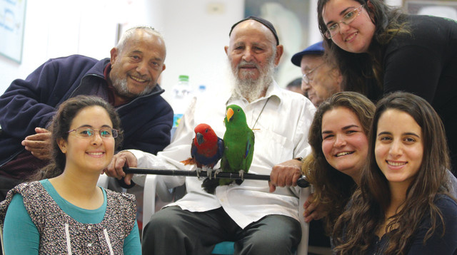 מתנדבות שירות לאומי במרכז לקשיש (צילום: רננה כהן)
