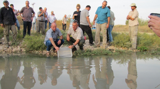שאול גולדשטיין, מנכ"ל רשות הטבע והגנים ויורם קרין, ראש מועצת עמק המעיינות  (צילום: יניב כהן, רשות הטבע והגנים)
