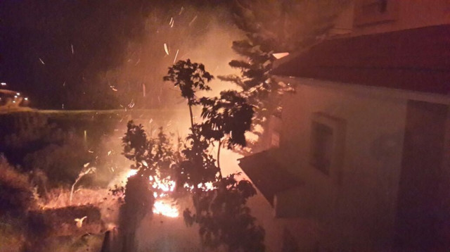 השריפה בזכרון יעקב (צילום: דוברות כבאות מחוז חוף)