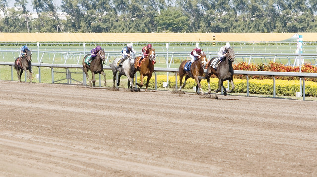 מרוצי סוסים, צילום אילוסטרציה (צילום: אינגאימג)