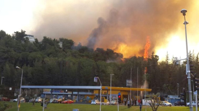 שכונת רוממה עולה באש (צילום: כבאות והצלה מחוז חוף)