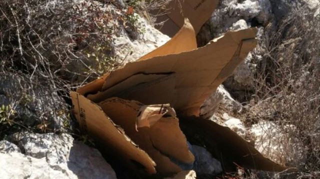 ערימת הקרטונים שנמצאה (צילום: ישיבת אור וישועה בחיפה)