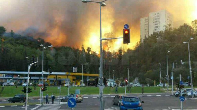 שריפה בחיפה (צילום: אבשלום ששוני)