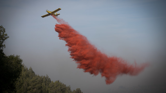 השריפה בחיפה (צילום: מאיר ועקנין, פלאש 90)