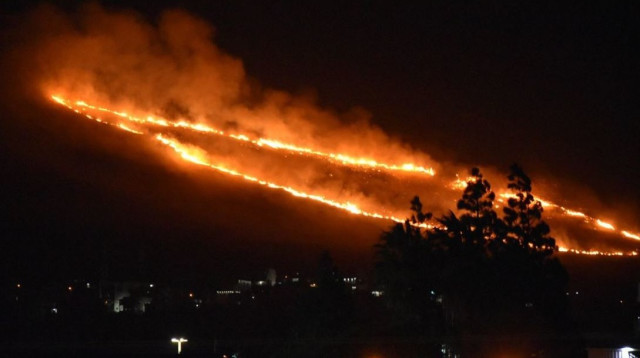 שריפה באזור כרמיאל (צילום: כיבוי אווירי)