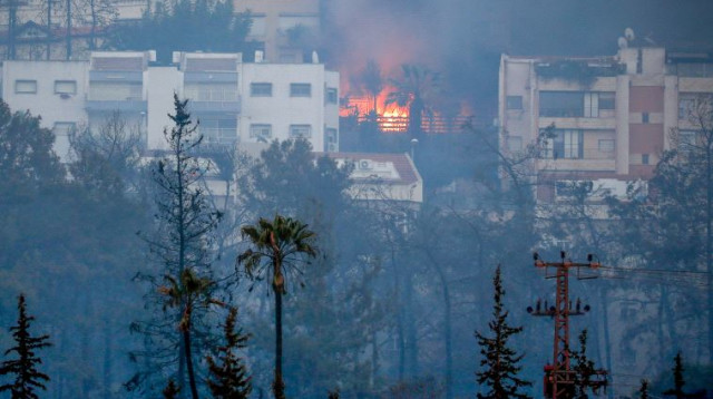 שריפה בחיפה (צילום: מאיר ועקנין, פלאש 90)