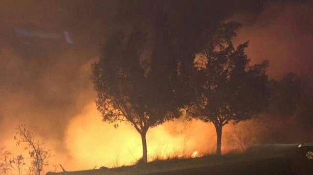 השריפה בבית מאיר (צילום: אורן רונד)