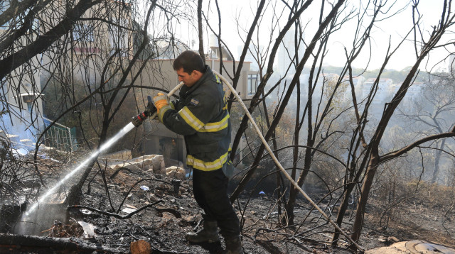 שריפה בחיפה (צילום: ערן לוף)
