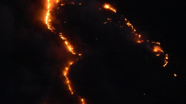 השריפה בהרי ירושלים (צילום: דוברות המשטרה)
