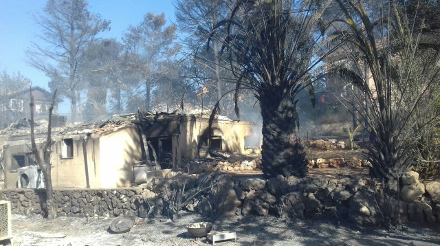 השריפה בחלמיש (צילום: דוברות כבאות והצלה מחוז יו"ש)