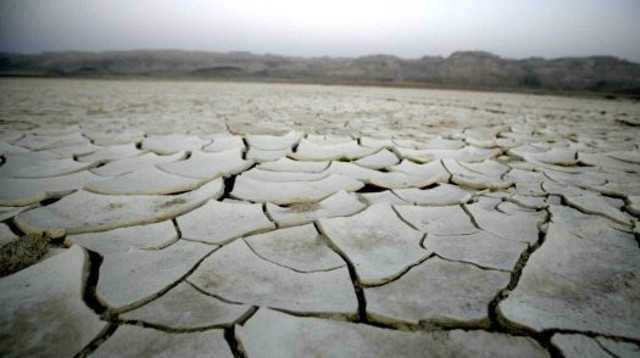 אילוסטרציה (צילום: אביר סולטאן, פלאש 90)