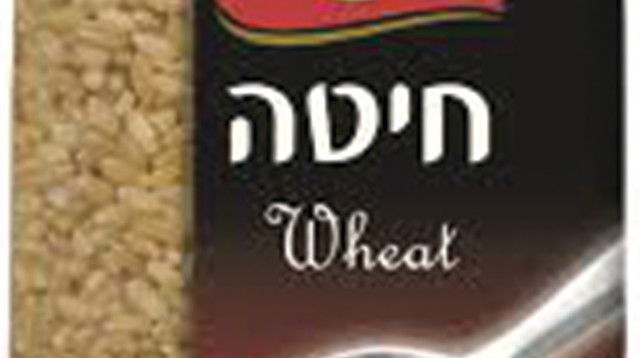 סוגת חיטה (צילום: יח"צ)